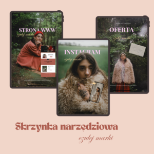 Skrzynka narzędziowa czułej marki